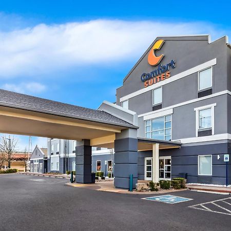 גודלטסוויל Comfort Suites At Rivergate Mall מראה חיצוני תמונה