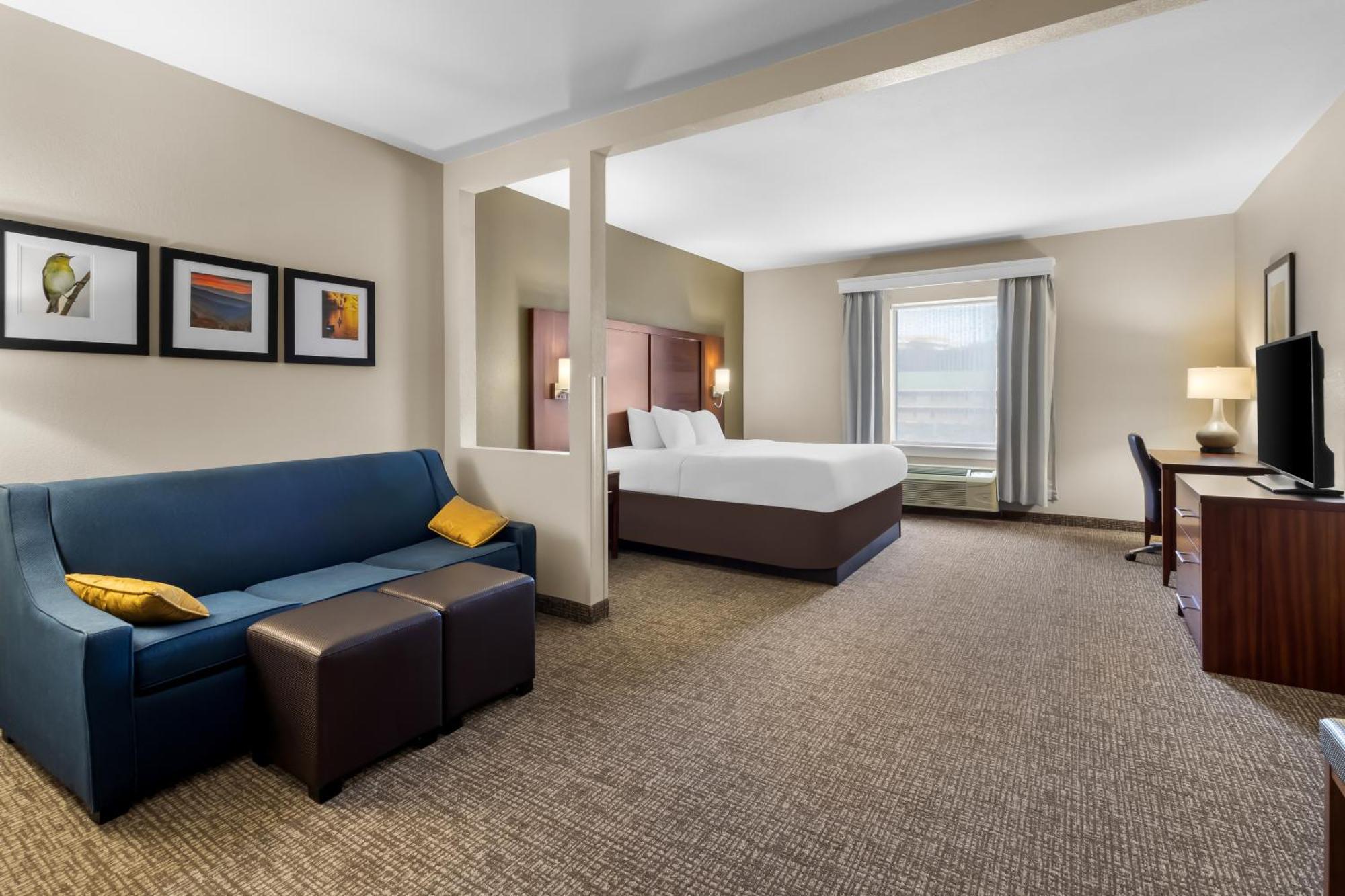 גודלטסוויל Comfort Suites At Rivergate Mall מראה חיצוני תמונה
