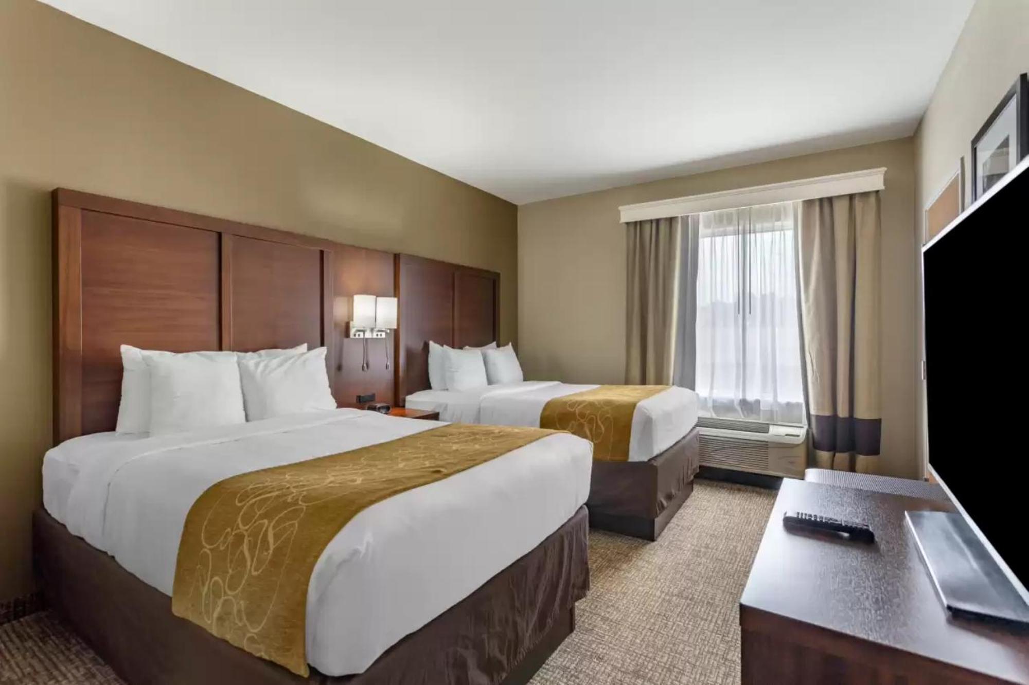 גודלטסוויל Comfort Suites At Rivergate Mall מראה חיצוני תמונה