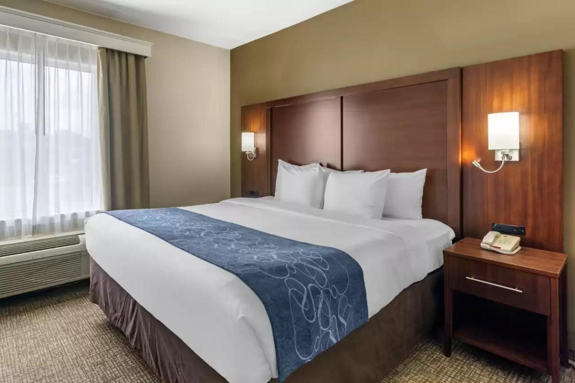 גודלטסוויל Comfort Suites At Rivergate Mall מראה חיצוני תמונה