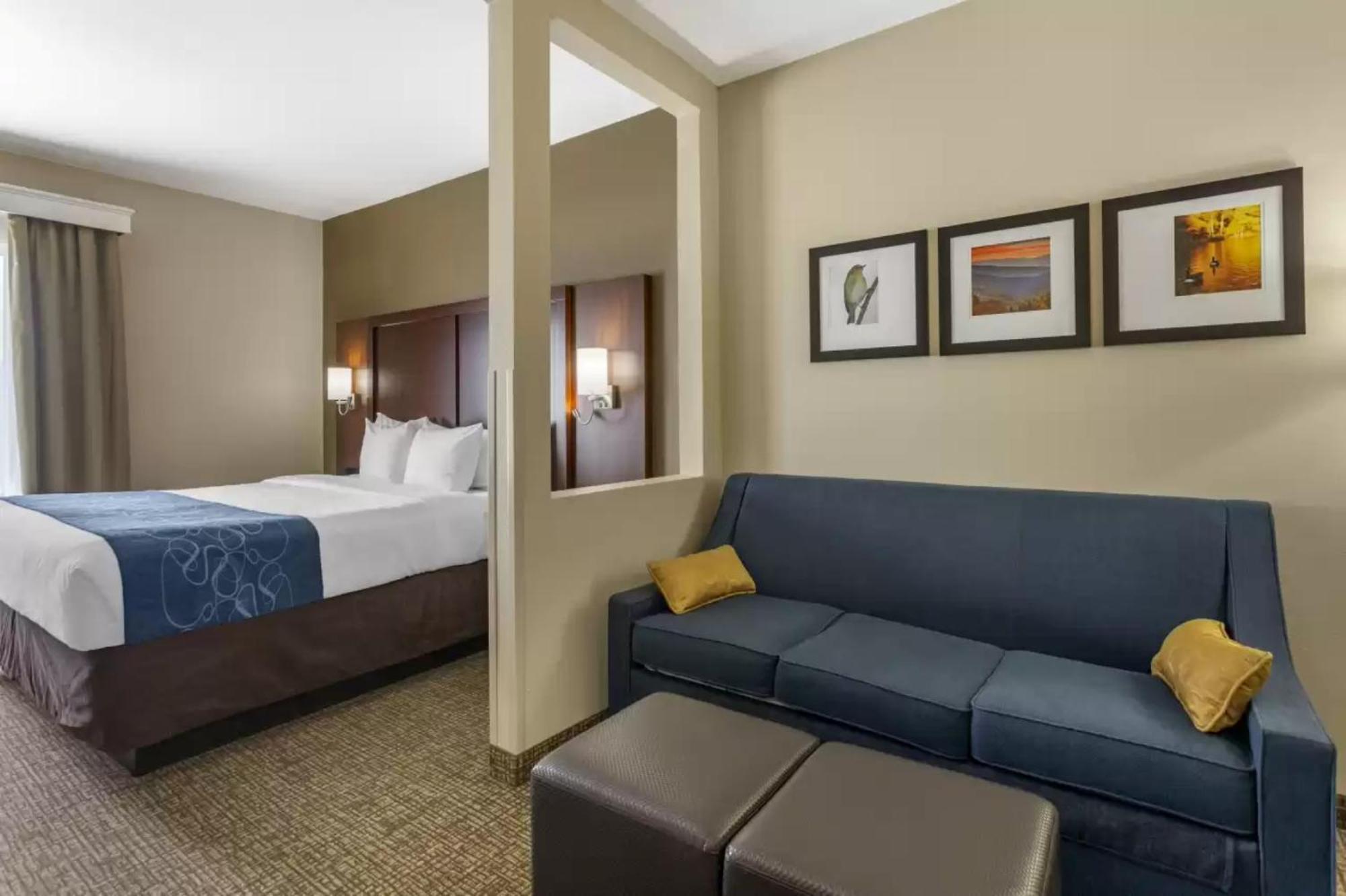 גודלטסוויל Comfort Suites At Rivergate Mall מראה חיצוני תמונה